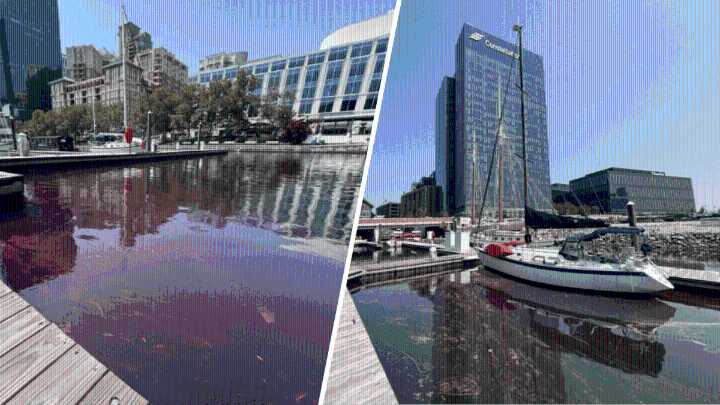 Crews cleaning up 2,000-gallon fuel spill in Baltimore’s harbor – NBC4 Washington