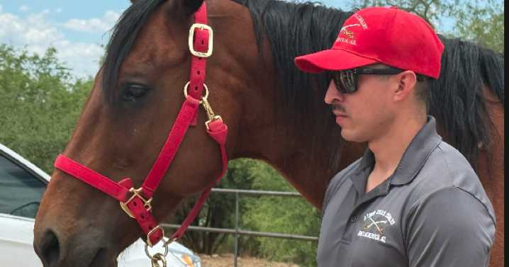UA adopts military horse from Fort Huachuca to help train future veterinarians