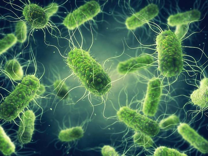 Salmonella Outbreak Triggers Egg Recall in 9 States