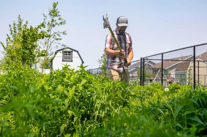 Got prairie? Marion adds no-cost permit for natural landscaping