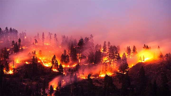 Wildfire Smoke Linked to Respiratory Admissions in Seniors