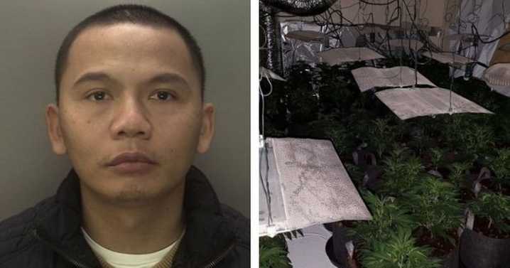 Bentley driving drug kingpin posing as property developer ran cannabis empire worth millions