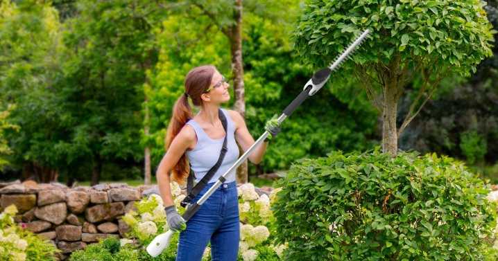 Gtech knocks £70 off 'lightweight' cordless hedge trimmer with 'plenty of power'