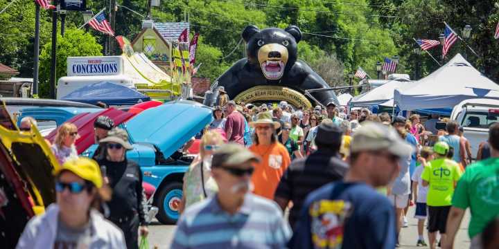 National Black Bear Festival kicks off in Plymouth