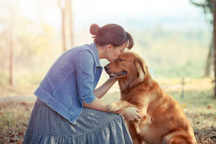 9 Loving Dog Breeds Who Stay Close When You Need It Most