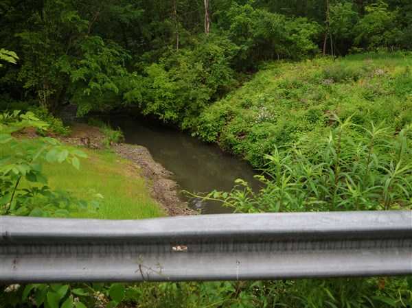 E. coli advisory extended to Swan Creek and tributaries