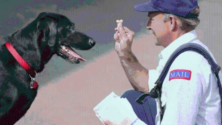 USPS starts campaign to reduce dog attacks on mail carriers
