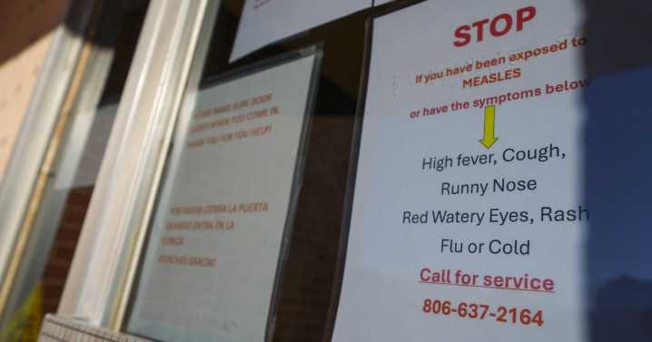 Measles outbreaks in Michigan and Pennsylvania end, while Texas logs just 4 new cases