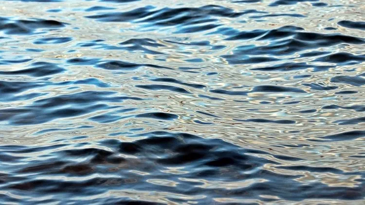 DL City Beach to be Treated for Swimmer’s Itch
