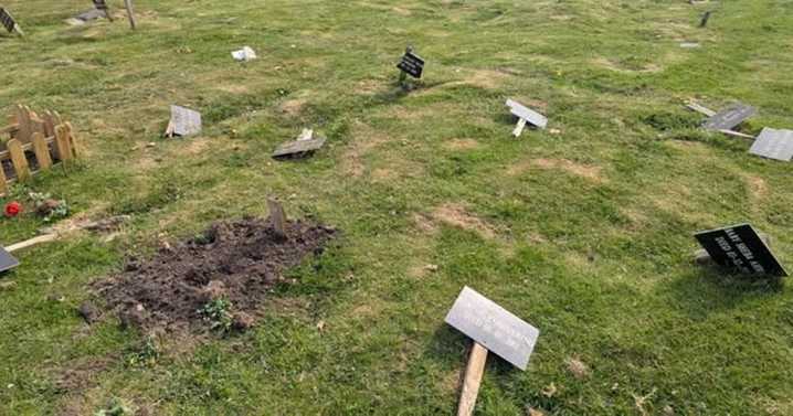 Brent Council restores Muslim children's graves destroyed in 'horrific' hate crime
