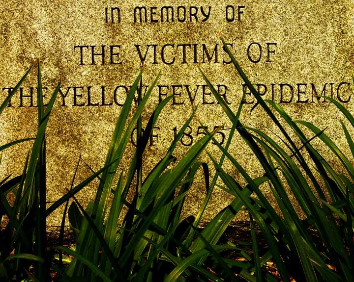Column: The epidemic that nearly wiped-out Norfolk and Portsmouth – The Virginian