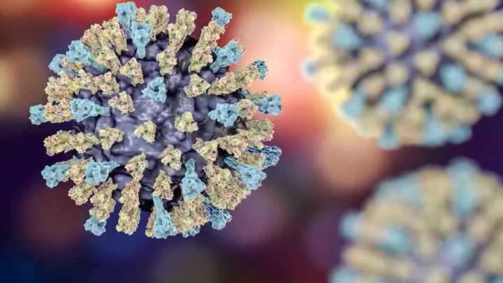 Texas measles outbreak 2025: Health officials report no new cases Friday
