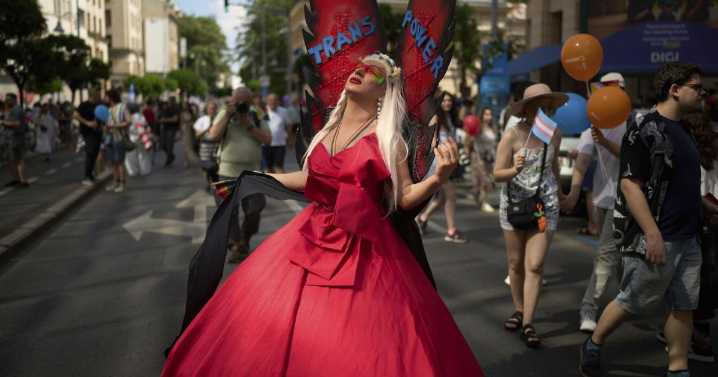 PHOTO COLLECTION:World Pride Parades