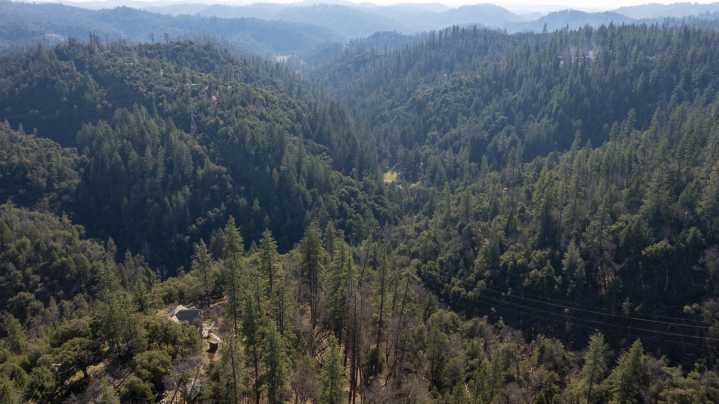 Work Begins on Woodpecker Ravine Fuels Reduction Project