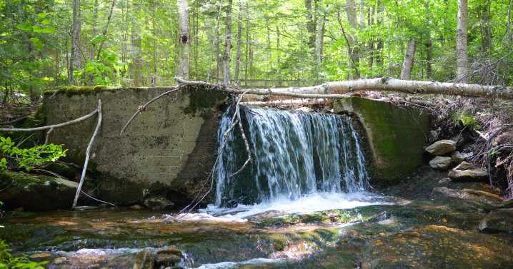 Dam removal underway on Jack's Brook near Mount Snow