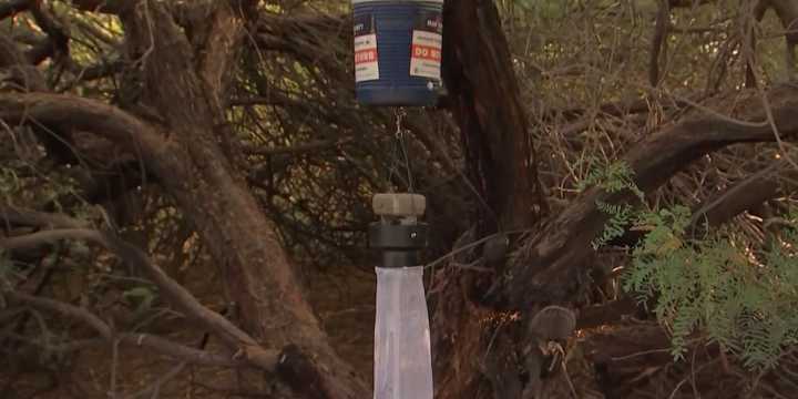 Mosquito traps test positive for West Nile virus in Maricopa County