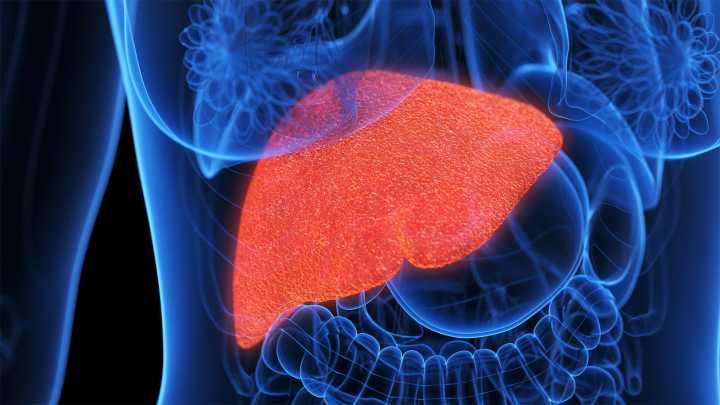 SGLT2 Inhibitor Shows Promise as MASH Treatment