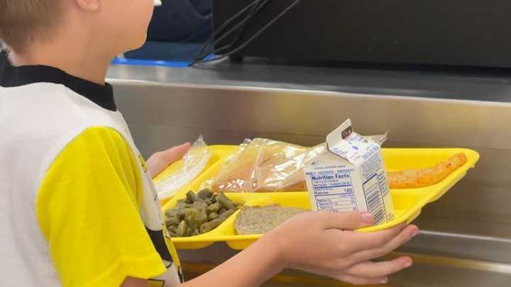 Should whole milk return to school cafeterias?