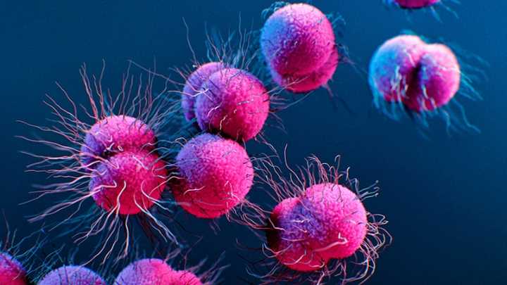 Antibiotic-Resistant Gonorrhoea Cases Rise in England