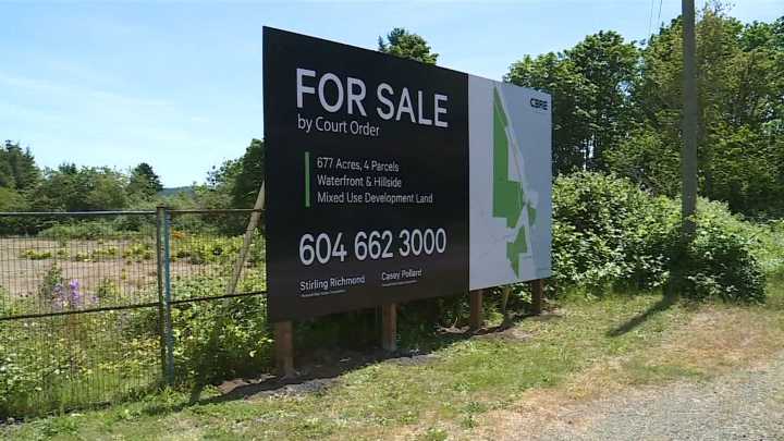 Large development lands near Union Bay listed for sale