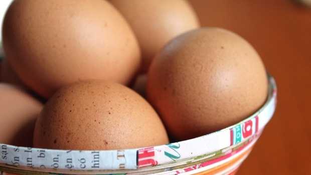 Salmonella concerns prompt egg recall