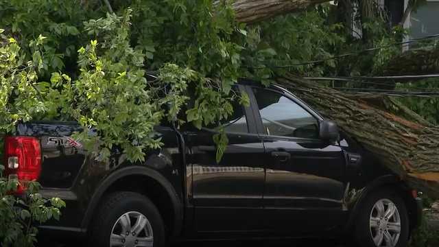 Falling tree damages homes, power lines, pickup truck in South Boston