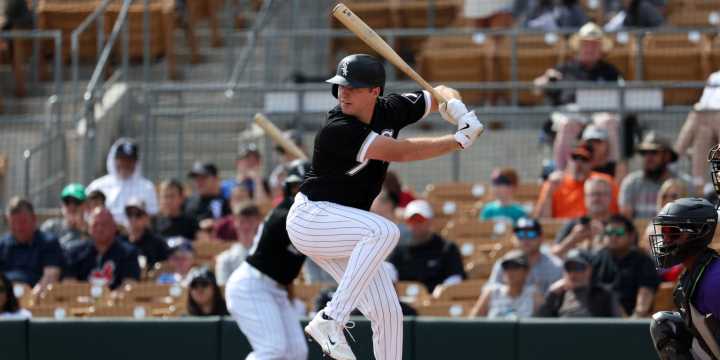 Kyle Teel called up to White Sox (source)