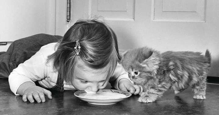45 Adorable Vintage Photos Showcasing The Timeless Bond Between Kids And Cats, As Collected By This Page