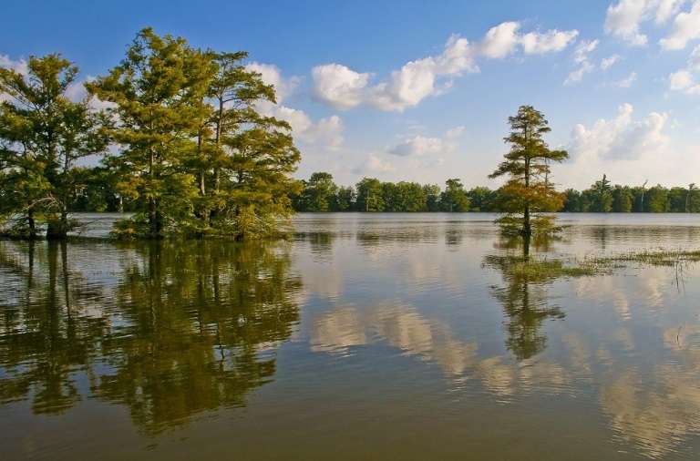 Wolf Lake in Yazoo County Reopened to Boating