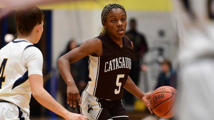 Final Lehigh Valley girls basketball scoring leaders for 2024