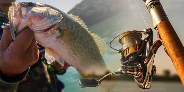 You can fish for free in Indiana and Michigan this weekend