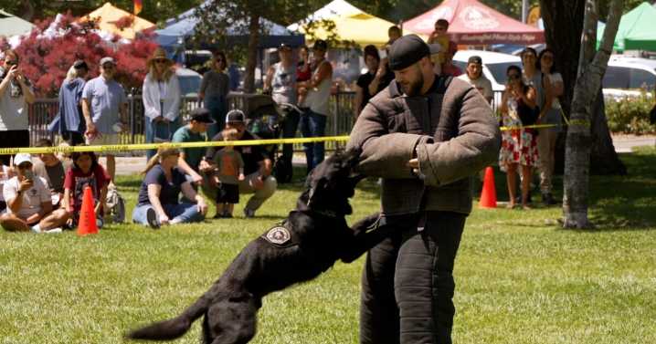 Annual SafetyFest in Paso Robles teaches locals about emergency preparedness