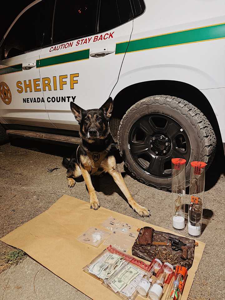 K9 Search Leads to Arrests and Seizure of Narcotics and Firearm