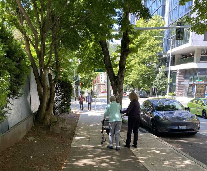 New street tree planning study offers insights into a greener Seattle future