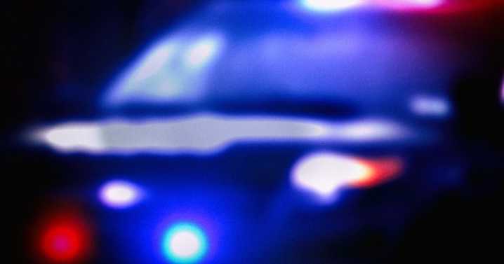 Franklin man dead, dog unharmed after van crash over the weekend