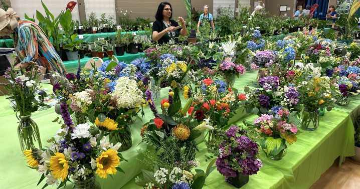 Over 3,000 plants for sale at Henrico County Master Gardeners' annual festival