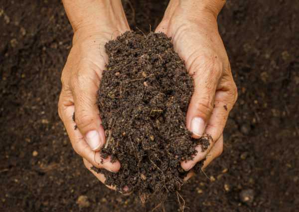 Soil Health Strategies Take Root in Berthoud with Free June 17 Demonstration Day