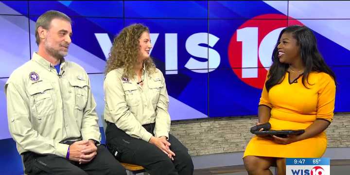 Tips to fight off mosquitoes in the Midlands