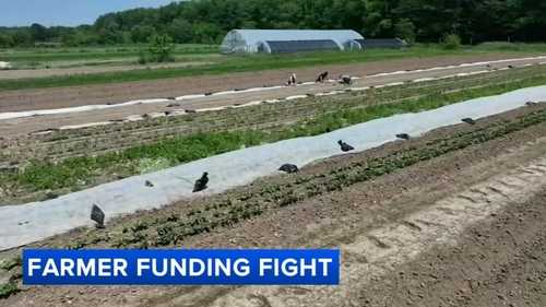 Pennsylvania Governor Shapiro sues USDA over canceled program benefitting farmers, food banks