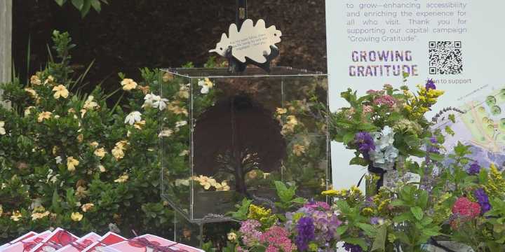 Awareness Garden launches campaign to expand and support cancer families