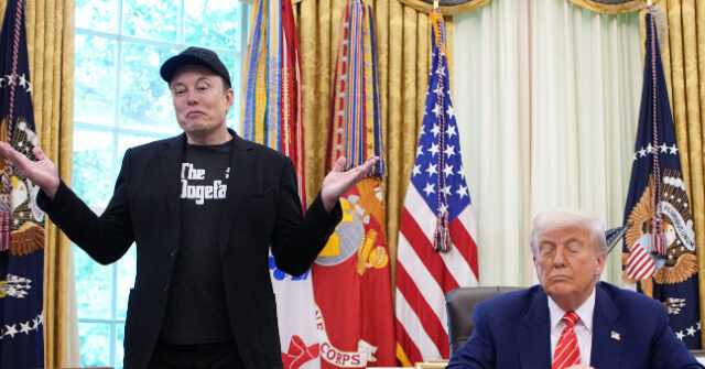 Trump: Elon Musk Has 'Lost His Mind' in Public Feud