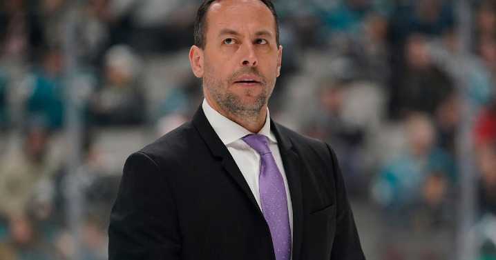 Bruins name ex-forward Sturm as head coach