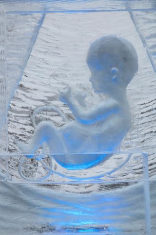 The Frozen Future: The Hidden Emotions of Stored Embryos