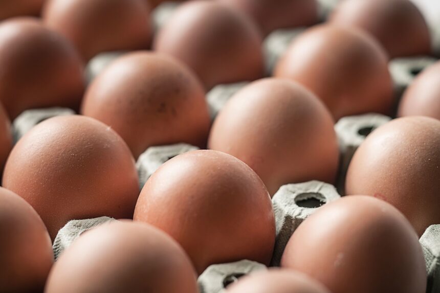 Salmonella outbreak linked to eggs sickens dozens of people across 7 states