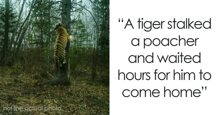 15 Times Animals Messed With Humans Throughout History
