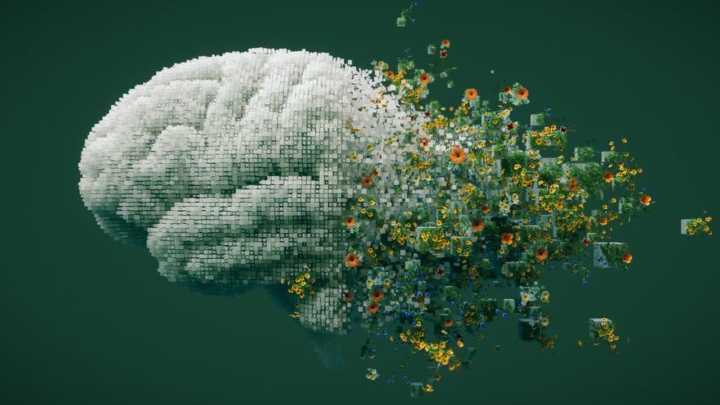 Tu cerebro no anticipa un solo futuro, sino varios, y calcula cuál es el más satisfactorio