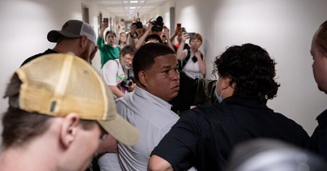 Elite-Backed Street Activists Harass ICE in New York Court Buildings