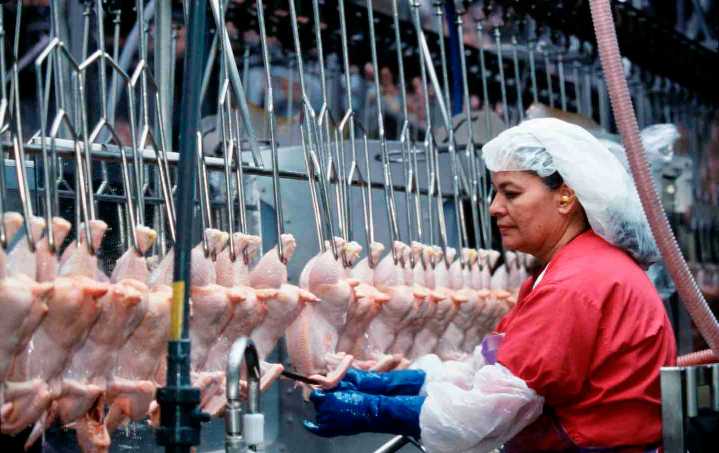 A Generation of Injustice at Tyson Foods