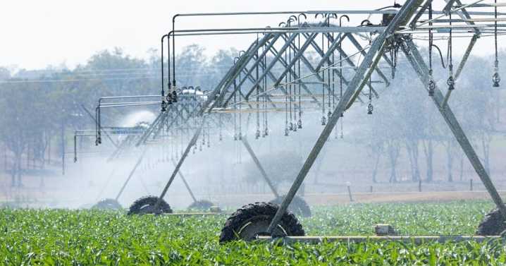Indiana's ag portal aims to cut red tape for farmers by 2026