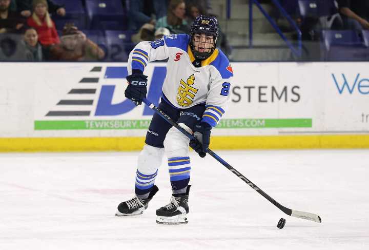 PWHL releases expansion draft protected list: Hilary Knight, Sarah Nurse go unprotected